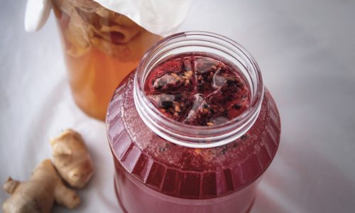 Curso Kombucha. Método Missfit-Kombucha